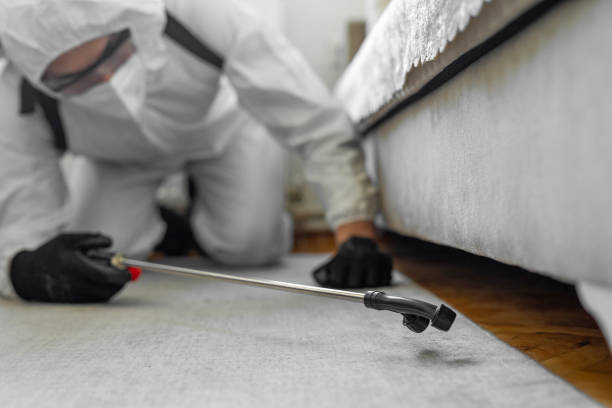 Professional Bed Bug Control technician working in South Hempstead, NY